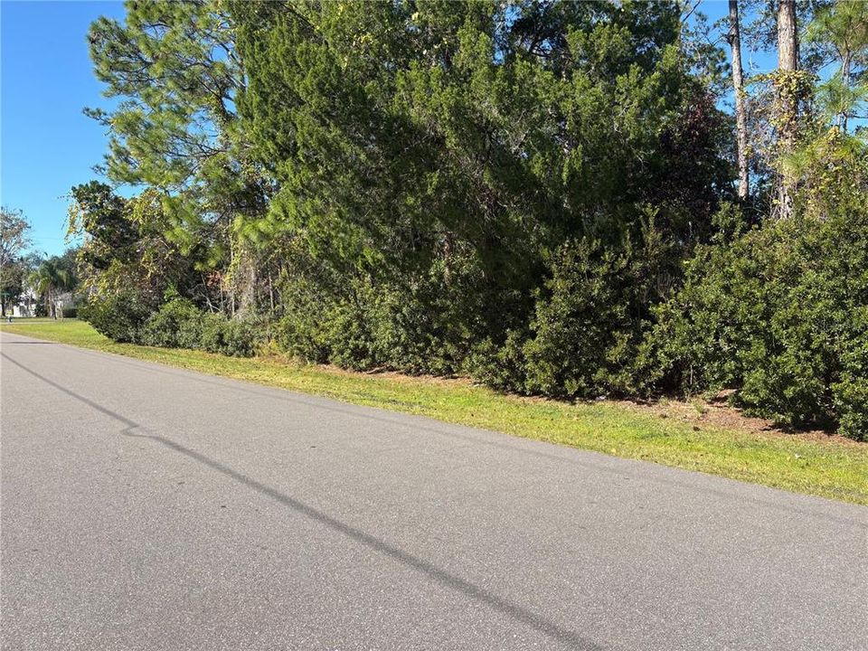 For Sale: $75,000 (0.29 acres)