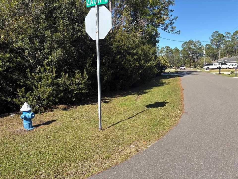 For Sale: $75,000 (0.29 acres)