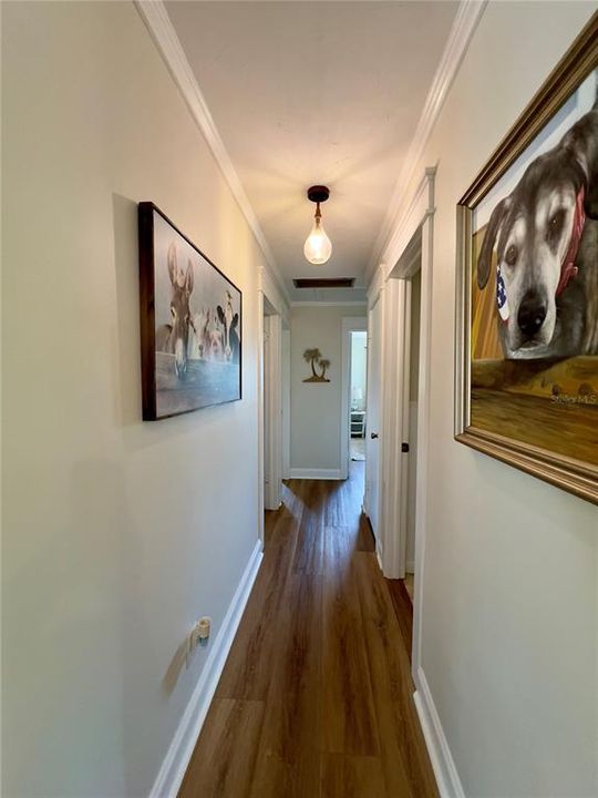 For Sale: $1,250,000 (3 beds, 2 baths, 1212 Square Feet)