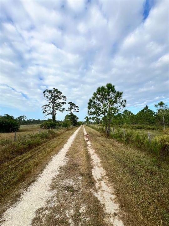 For Sale: $1,250,000 (3 beds, 2 baths, 1212 Square Feet)