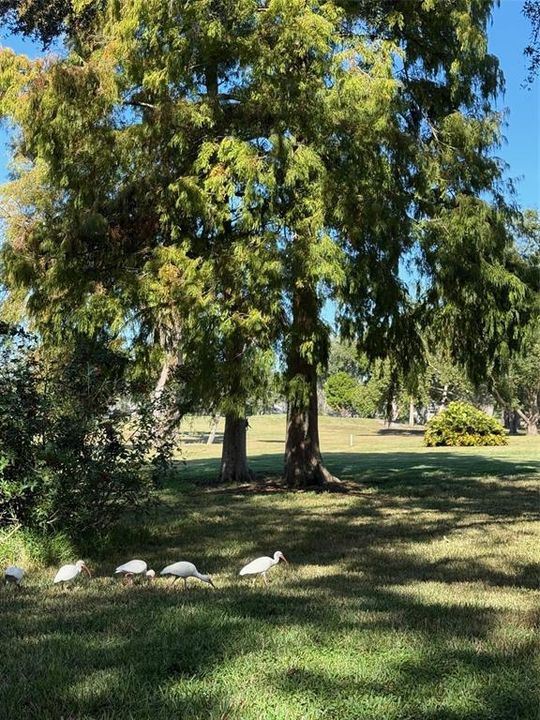 На продажу: $405,000 (3 спален, 2 ванн, 1752 Квадратных фут)