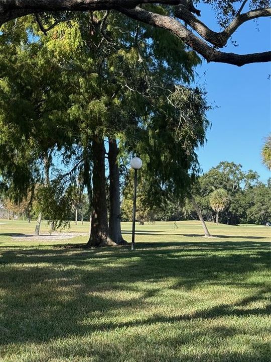 На продажу: $405,000 (3 спален, 2 ванн, 1752 Квадратных фут)