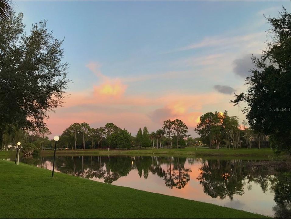 На продажу: $405,000 (3 спален, 2 ванн, 1752 Квадратных фут)