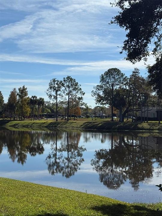 На продажу: $405,000 (3 спален, 2 ванн, 1752 Квадратных фут)