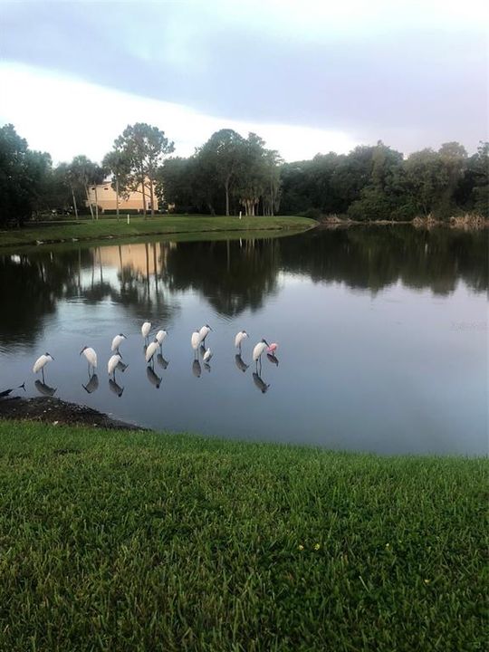 На продажу: $405,000 (3 спален, 2 ванн, 1752 Квадратных фут)