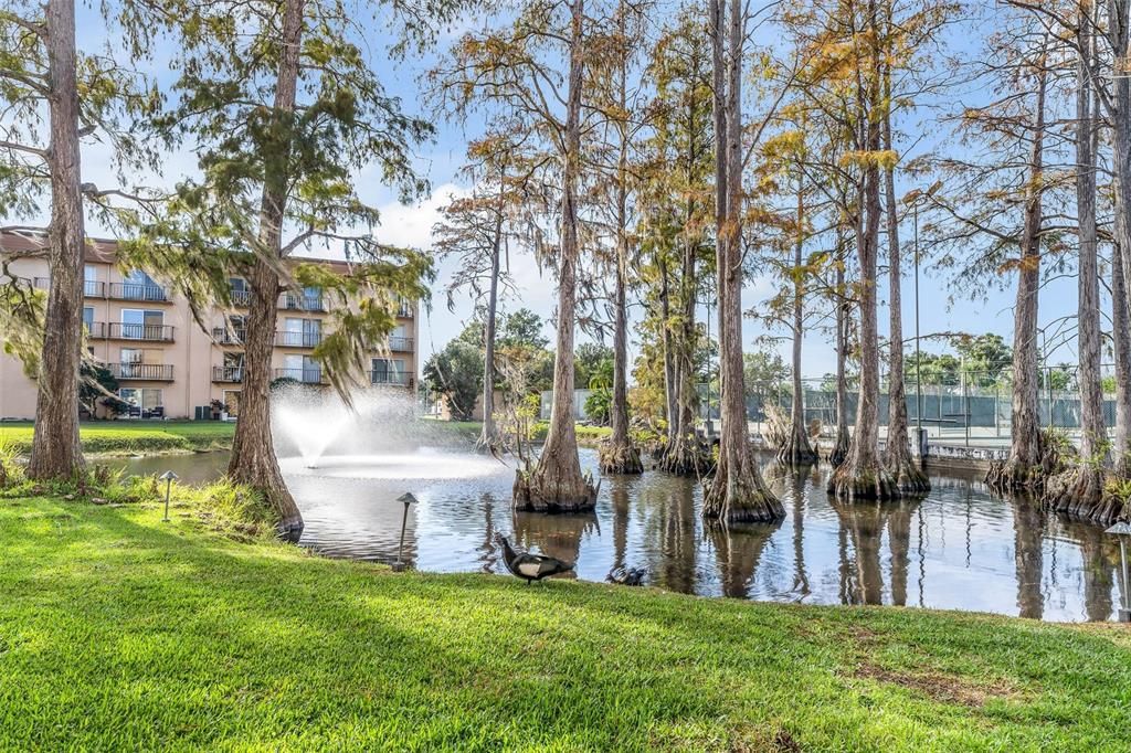 На продажу: $120,000 (1 спален, 1 ванн, 586 Квадратных фут)