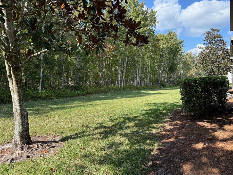 En Renta: $2,300 (3 camas, 2 baños, 1720 Pies cuadrados)