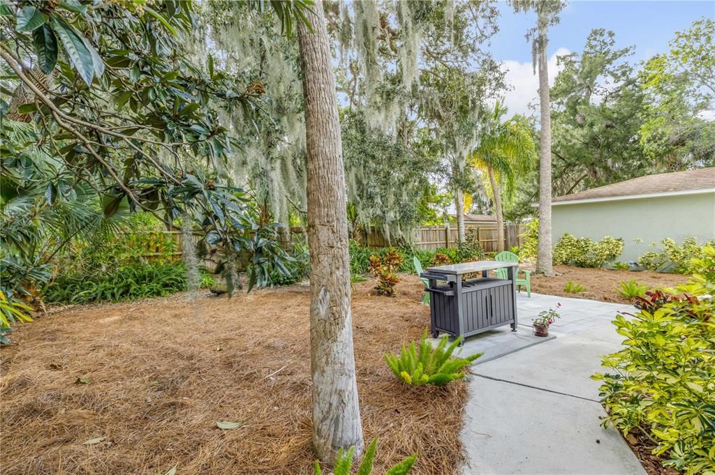 For Sale: $499,000 (3 beds, 2 baths, 1588 Square Feet)