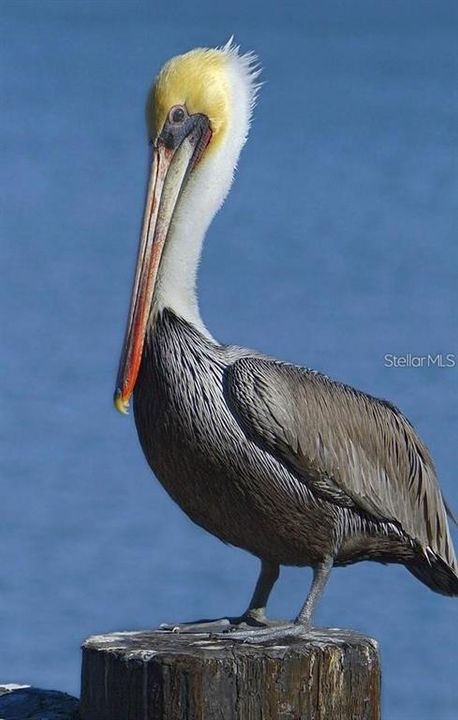 For Sale: $374,900 (2 beds, 2 baths, 1151 Square Feet)