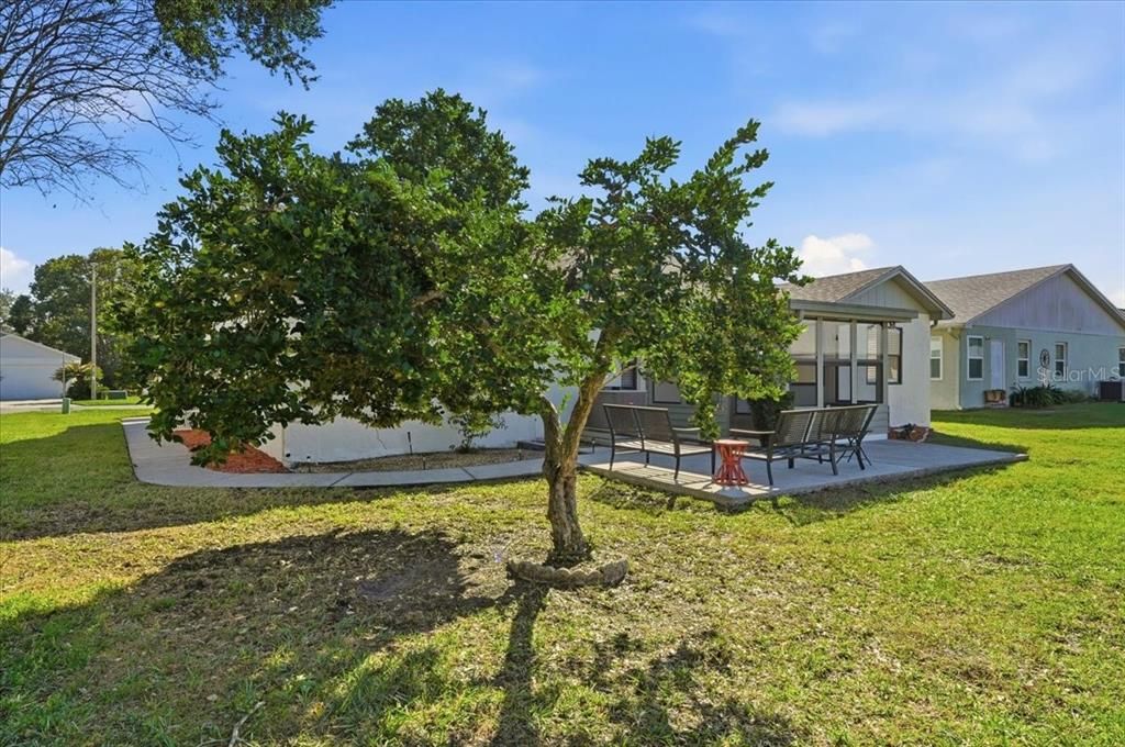 For Sale: $279,999 (3 beds, 2 baths, 1456 Square Feet)