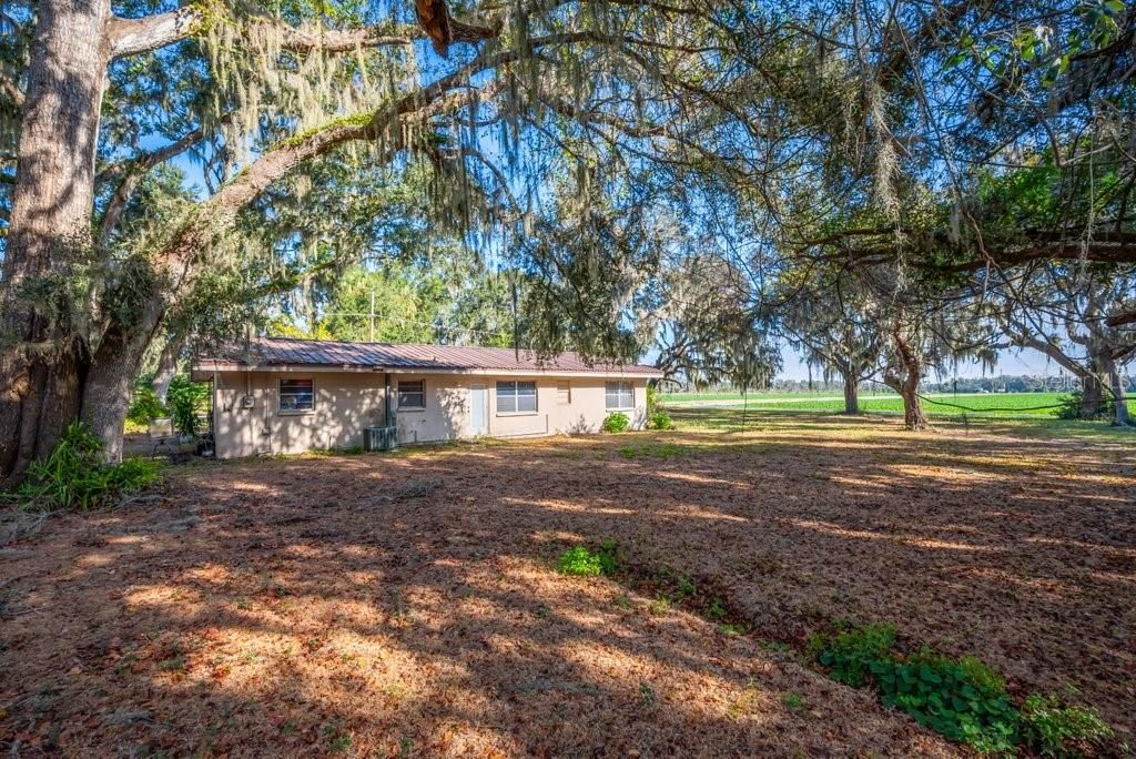 待售: $1,000,000 (2 贝兹, 2 浴室, 1113 平方英尺)