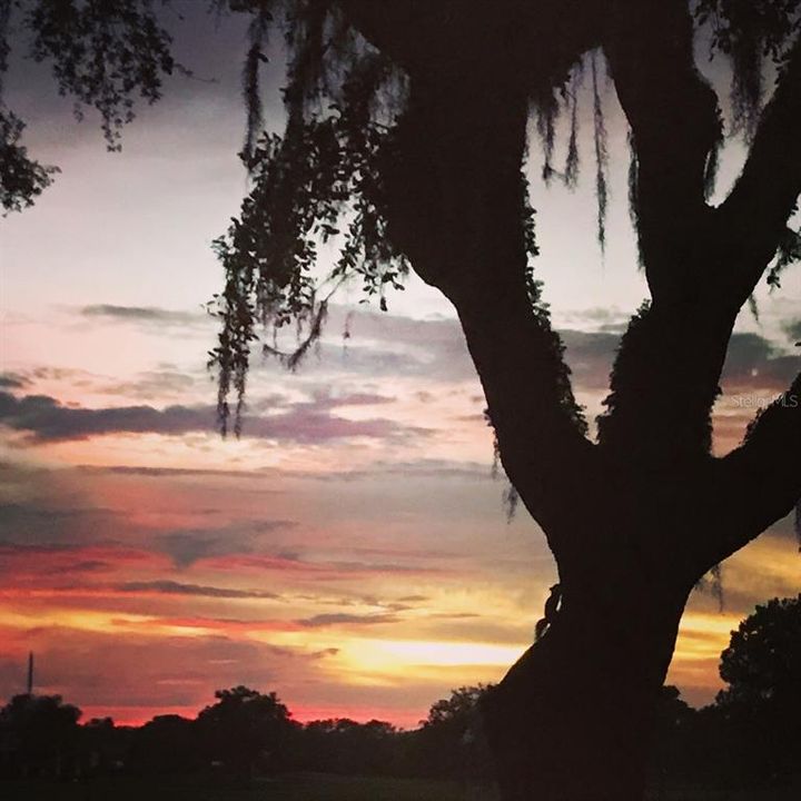 На продажу: $249,000 (2 спален, 2 ванн, 1195 Квадратных фут)