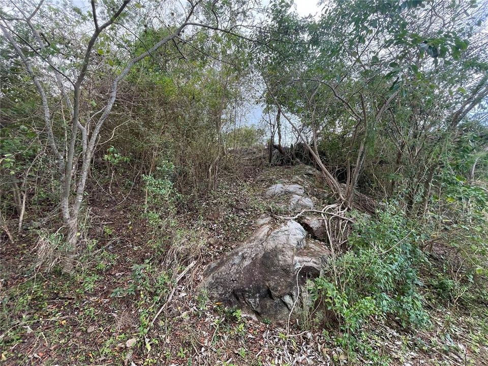 For Sale: $135,000 (0.97 acres)