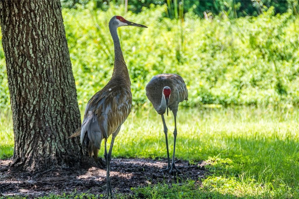 For Sale: $150,000 (1 beds, 1 baths, 504 Square Feet)