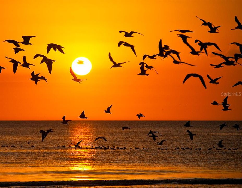 For Sale: $150,000 (1 beds, 1 baths, 504 Square Feet)