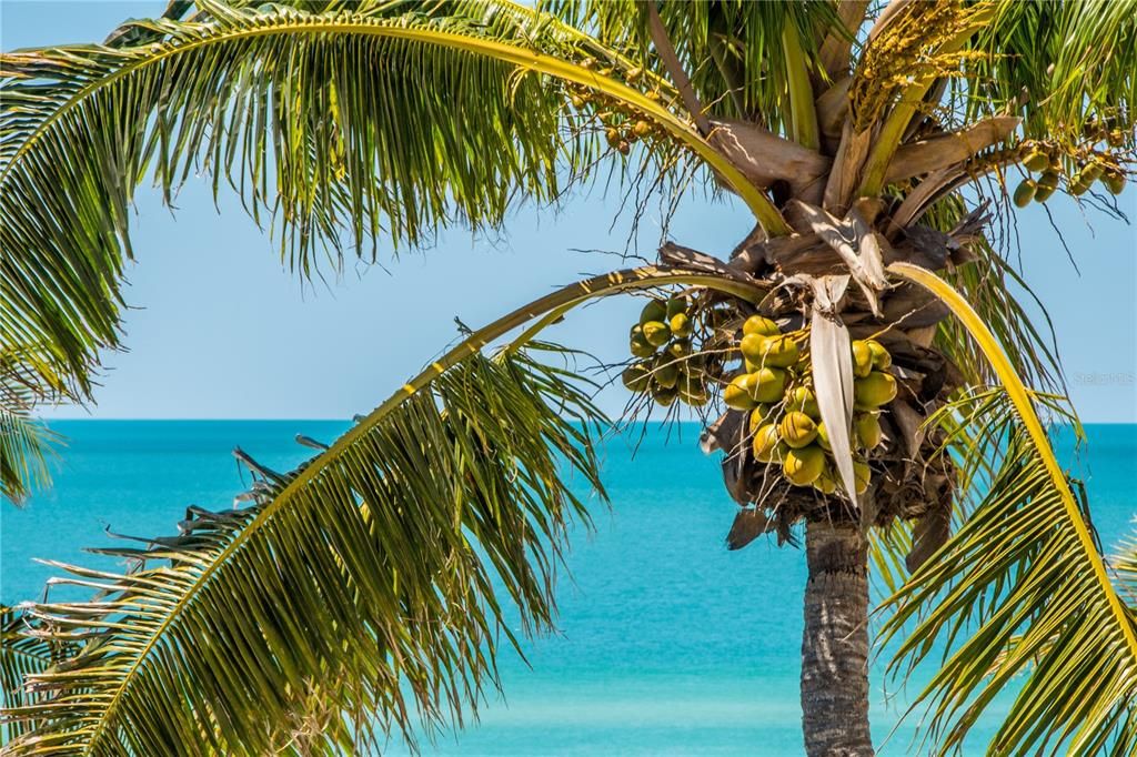 For Sale: $150,000 (1 beds, 1 baths, 504 Square Feet)