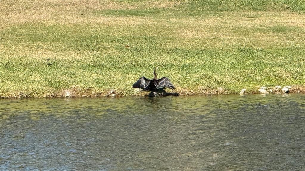 For Sale: $645,000 (4 beds, 2 baths, 3519 Square Feet)