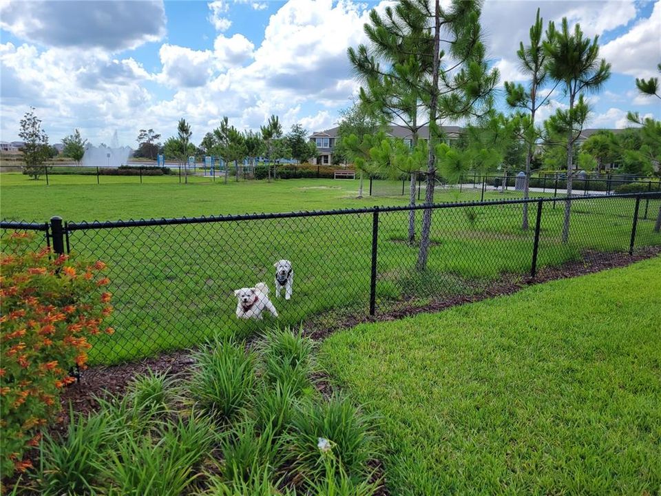 En Renta: $3,650 (4 camas, 3 baños, 2929 Pies cuadrados)