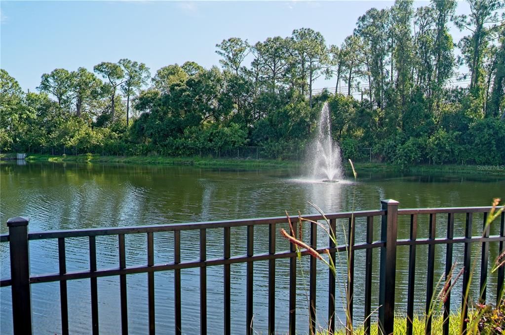 出租: $2,195 (2 贝兹, 2 浴室, 1246 平方英尺)