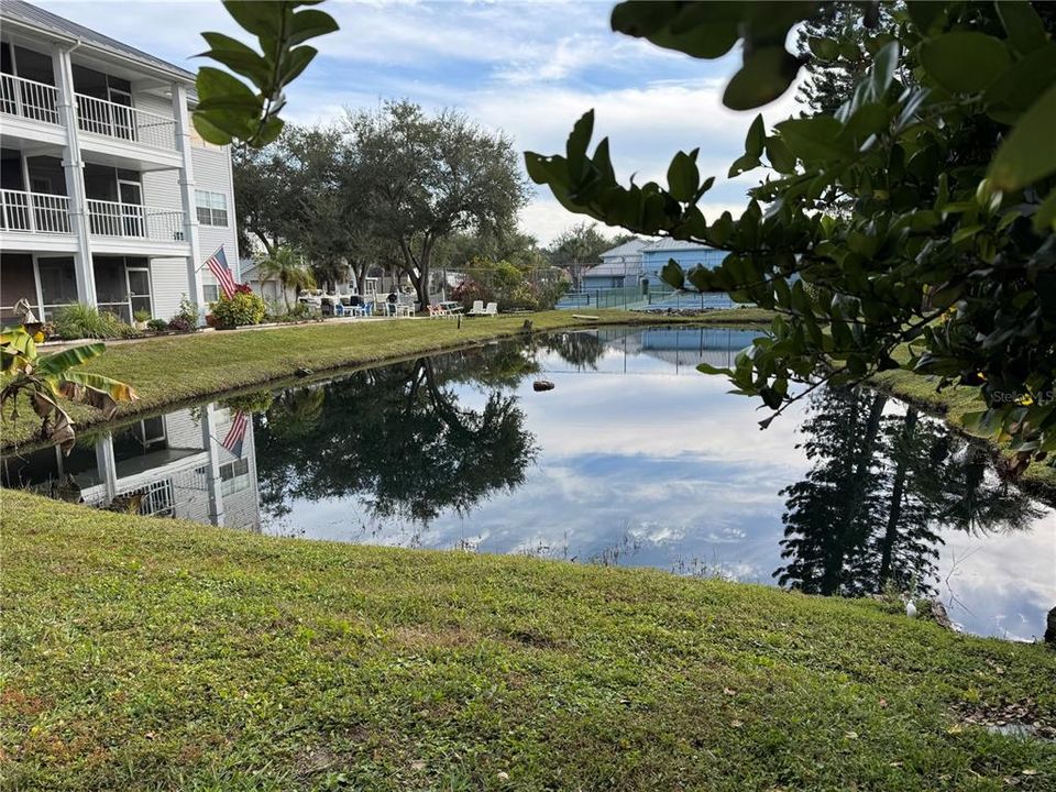 На продажу: $210,000 (1 спален, 1 ванн, 720 Квадратных фут)