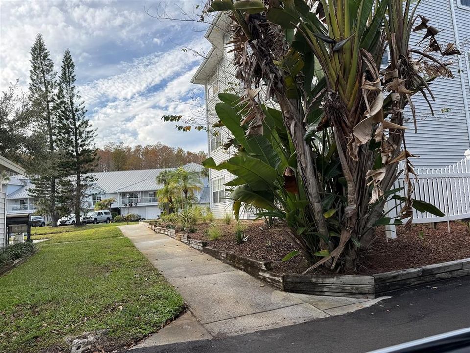 На продажу: $210,000 (1 спален, 1 ванн, 720 Квадратных фут)