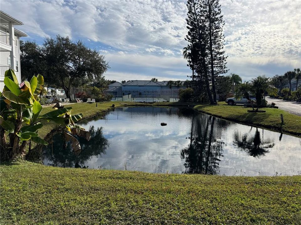 На продажу: $210,000 (1 спален, 1 ванн, 720 Квадратных фут)