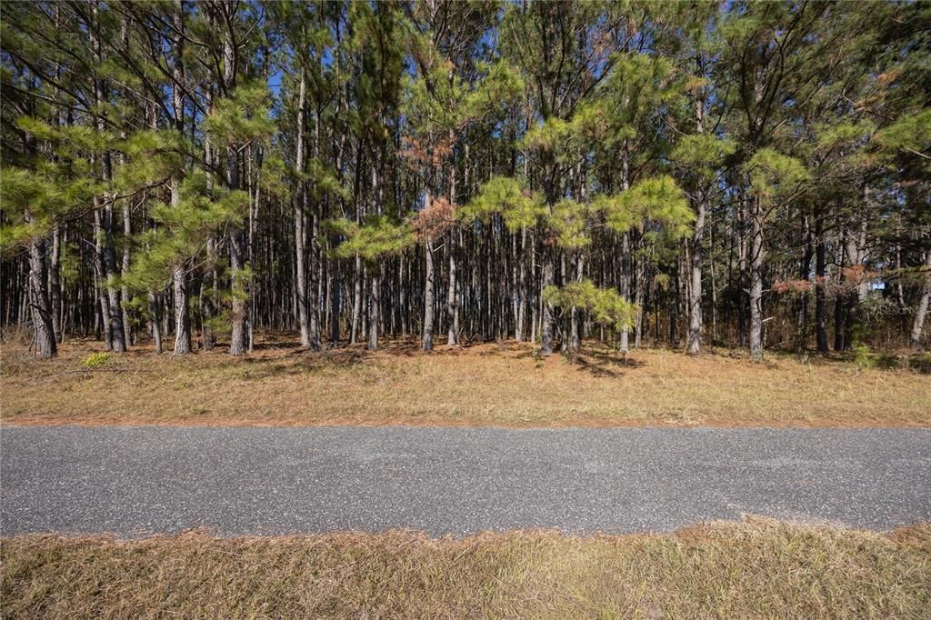 Active With Contract: $130,000 (3.86 acres)