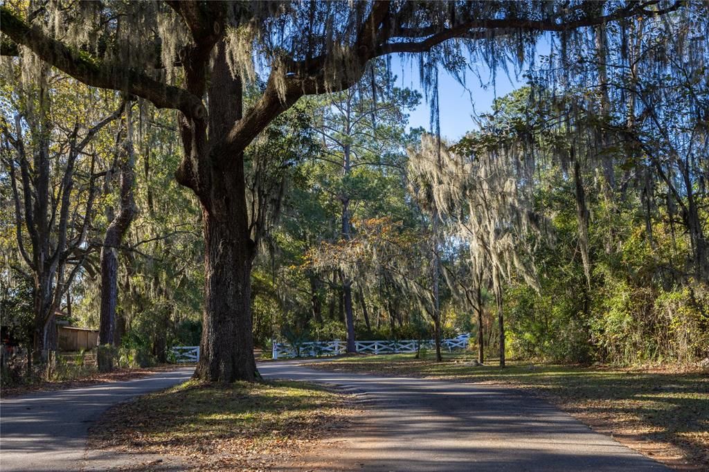 Active With Contract: $130,000 (3.86 acres)