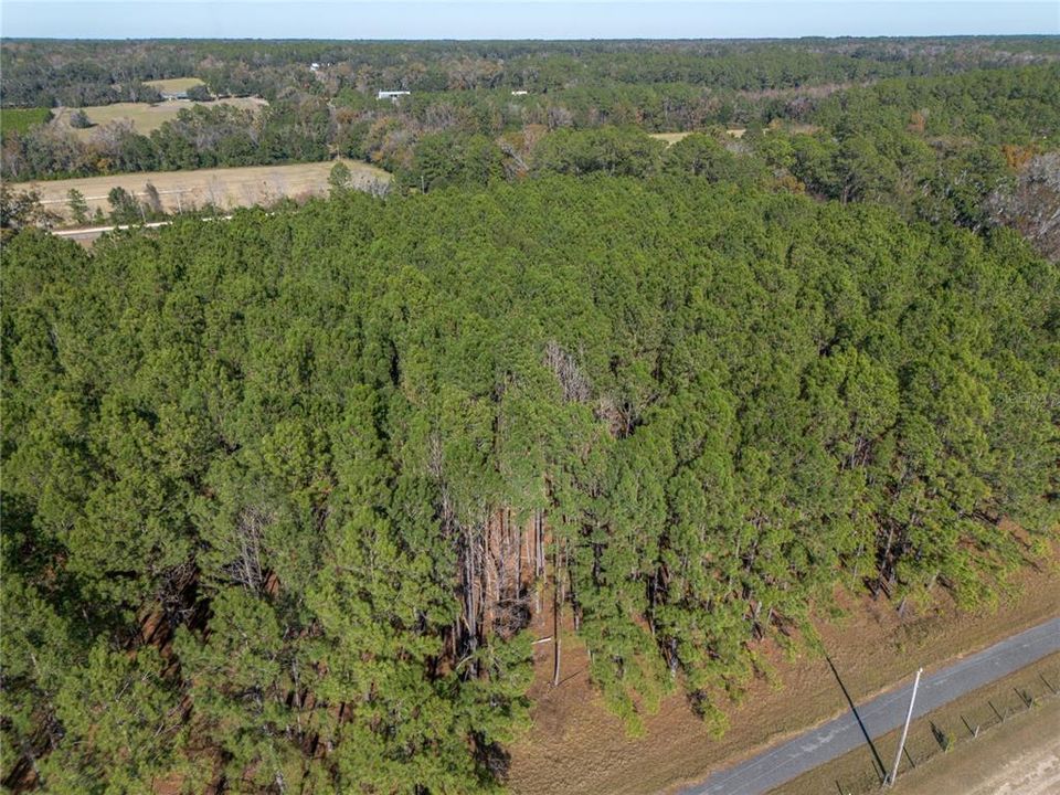 Active With Contract: $130,000 (3.86 acres)