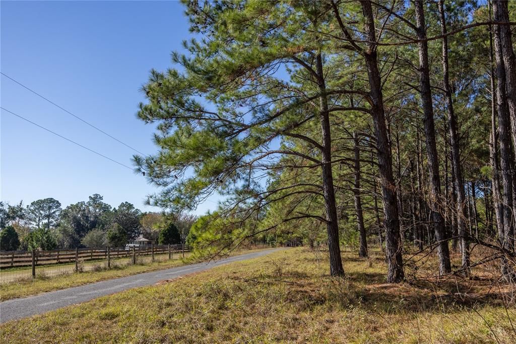 Active With Contract: $130,000 (3.86 acres)