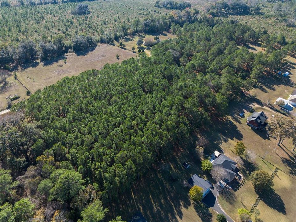 Active With Contract: $130,000 (3.86 acres)