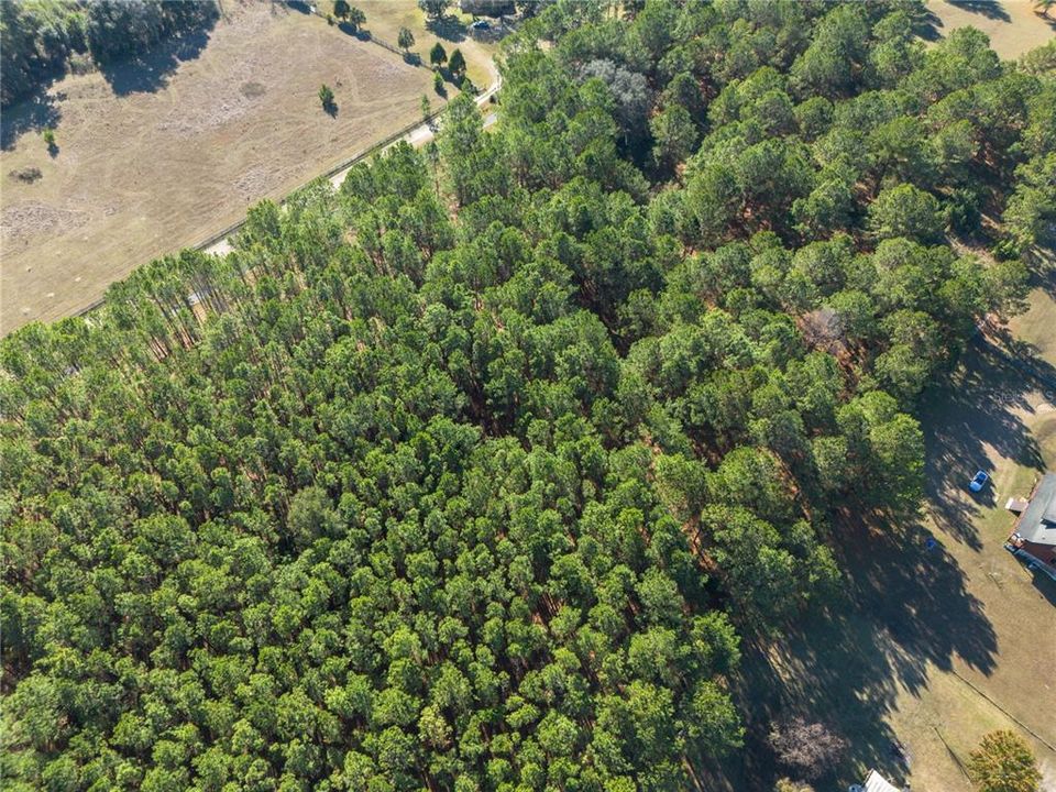 Active With Contract: $130,000 (3.86 acres)