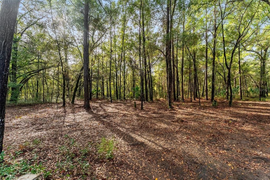 待售: $589,900 (4 贝兹, 2 浴室, 2406 平方英尺)