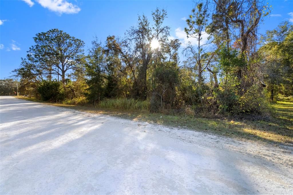 For Sale: $49,000 (0.46 acres)