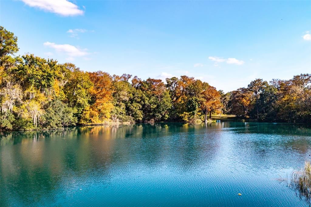 For Sale: $3,600,000 (5 beds, 4 baths, 6040 Square Feet)