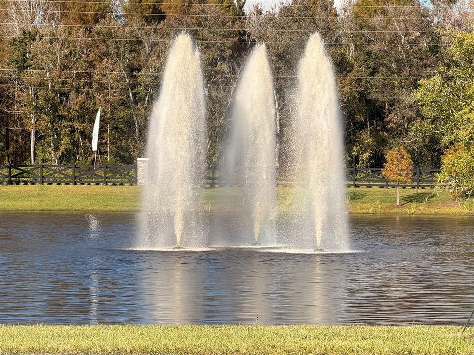 For Rent: $2,800 (3 beds, 2 baths, 1683 Square Feet)