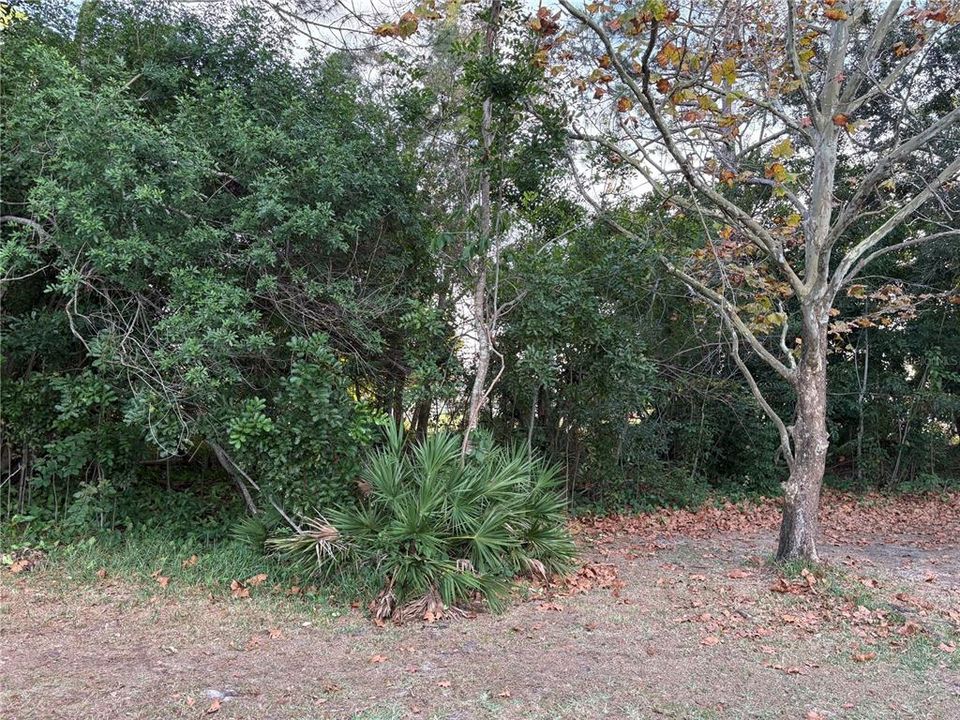 En Renta: $3,500 (4 camas, 3 baños, 2479 Pies cuadrados)