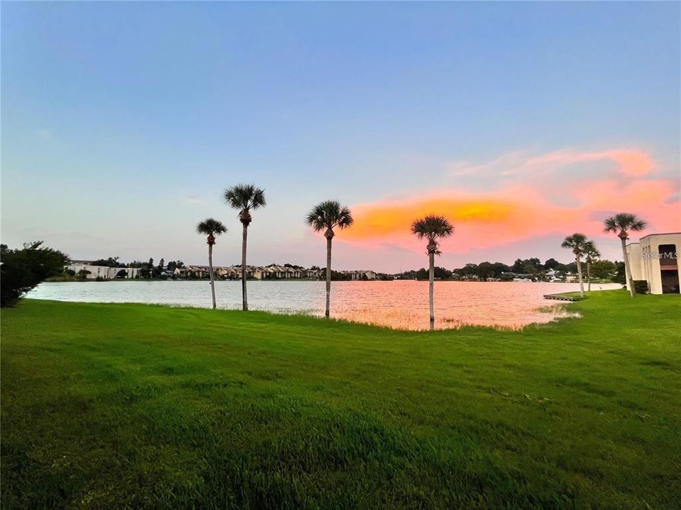 En Renta: $1,600 (2 camas, 2 baños, 1002 Pies cuadrados)