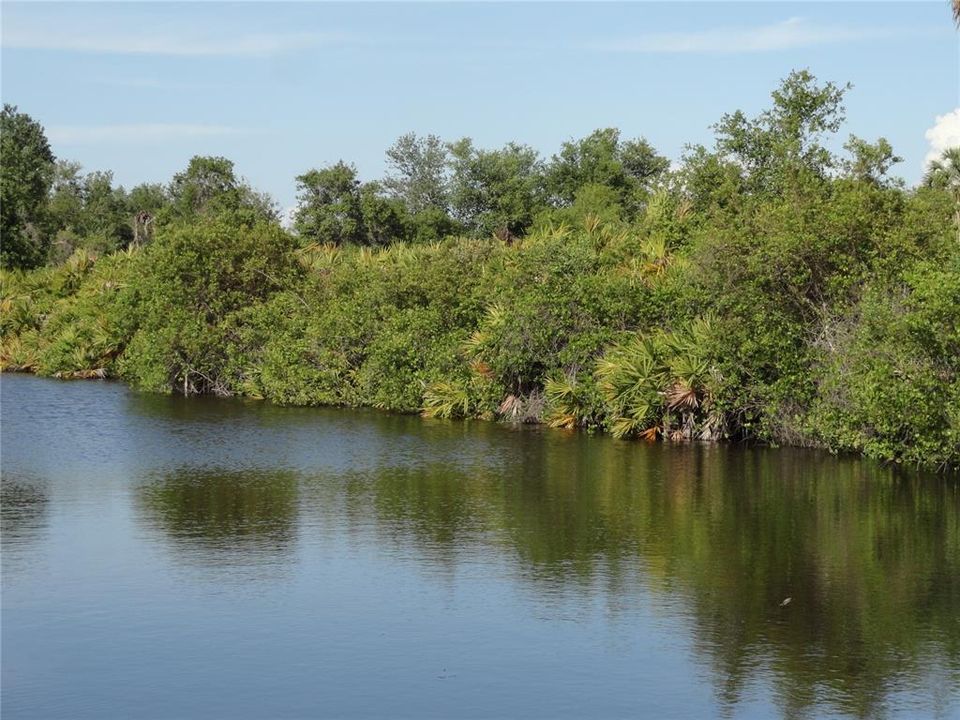 For Sale: $79,900 (0.23 acres)