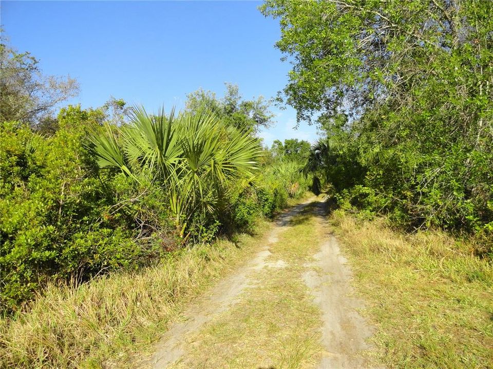For Sale: $79,900 (0.23 acres)
