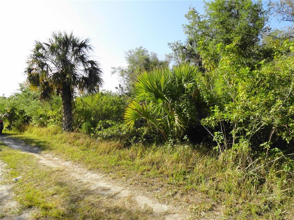 For Sale: $79,900 (0.23 acres)