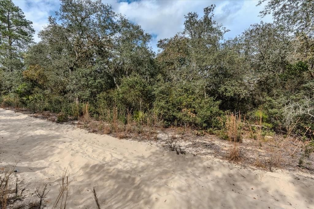 For Sale: $9,500 (0.21 acres)