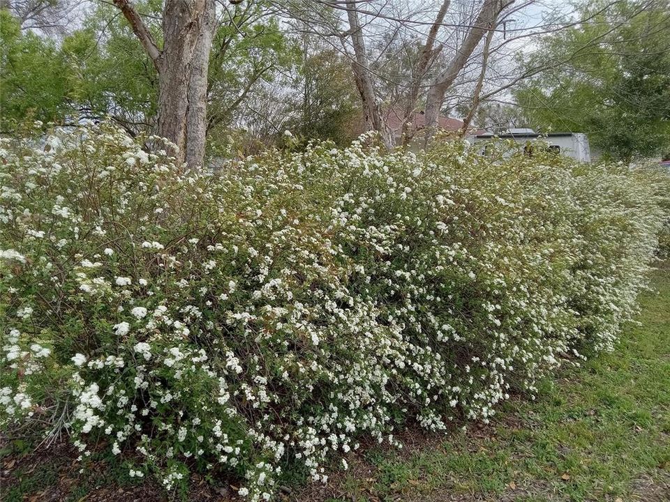 For Sale: $274,900 (3 beds, 2 baths, 1495 Square Feet)