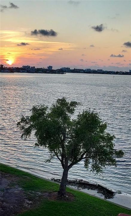 En Venta: $339,000 (1 camas, 1 baños, 790 Pies cuadrados)