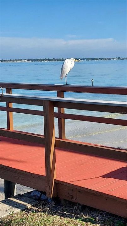 En Venta: $339,000 (1 camas, 1 baños, 790 Pies cuadrados)