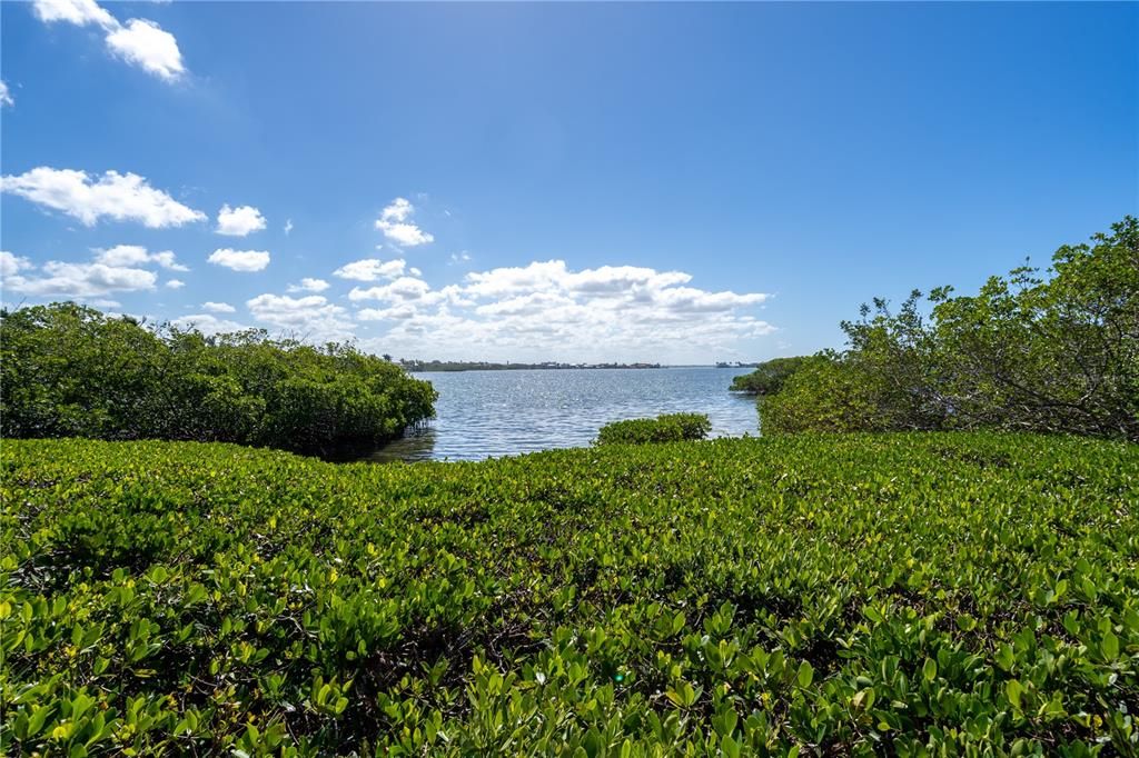 На продажу: $349,900 (1 спален, 1 ванн, 950 Квадратных фут)