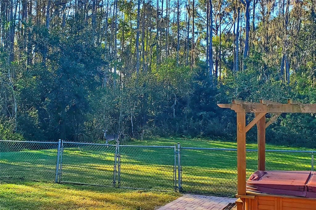 For Sale: $649,000 (4 beds, 3 baths, 2931 Square Feet)