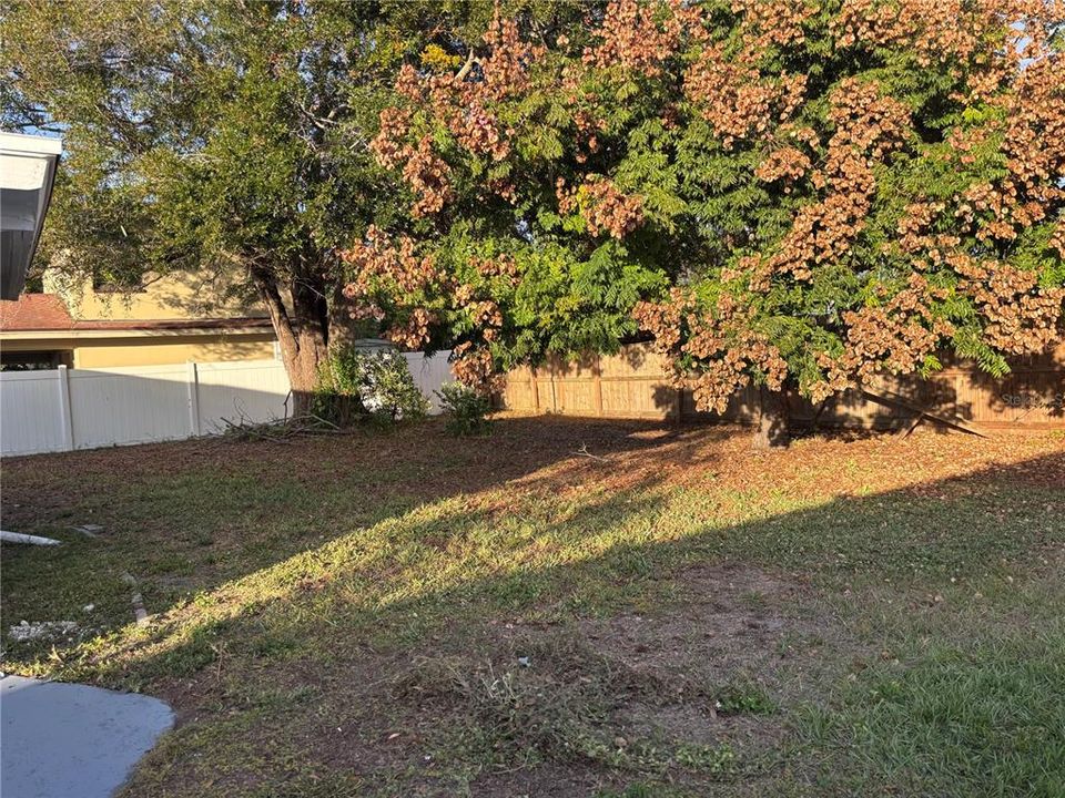 For Rent: $1,800 (2 beds, 1 baths, 813 Square Feet)