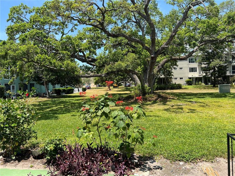 For Rent: $1,300 (1 beds, 1 baths, 825 Square Feet)