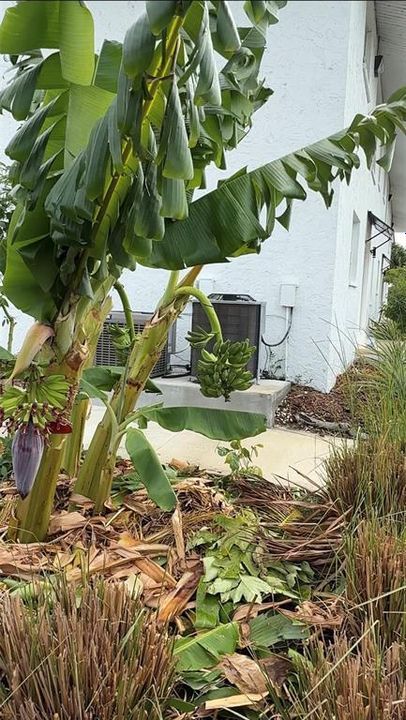 For Rent: $1,600 (2 beds, 2 baths, 815 Square Feet)